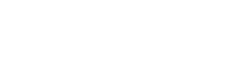 Optiswiss